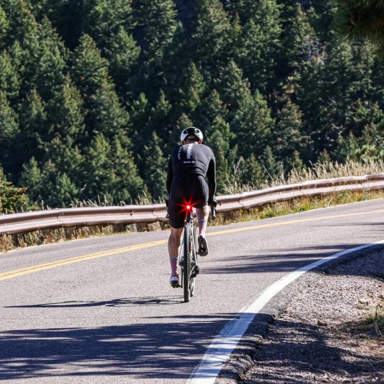 Cyclist riding uphill on a Colorado mountain road surrounded by evergreen trees